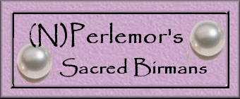 Banner_PerlemorsENG