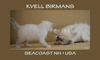 Kvell Logo 2011