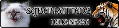 Sajberkattens