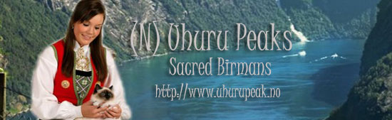Uhuru-Banner