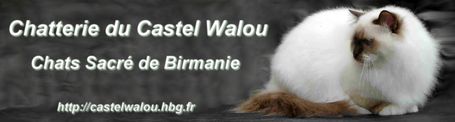 ban_castelwalou