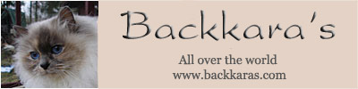 banner_backkaras4