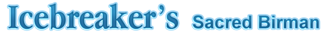 banner_icebreaker