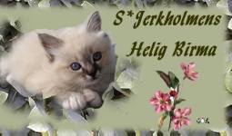 banner_jerkholmens