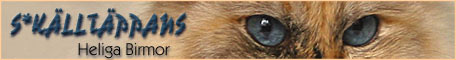 banner_kalltappans