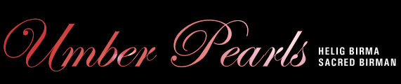 banner_umber_pearls