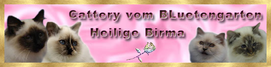 banner_vom_bluetengarten