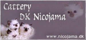 nico2_smallbanner